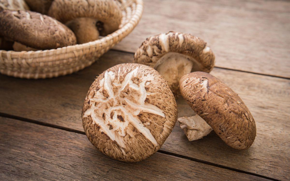 Bạn Có Biết Nấm Đông Cô Là “Siêu Thực Phẩm” Cho Sức Khỏe?