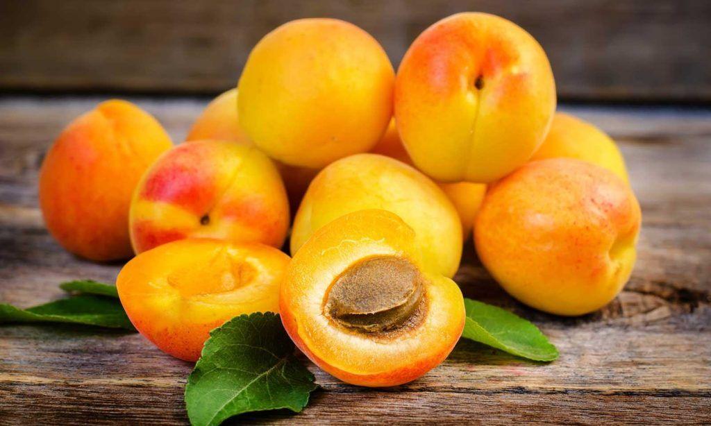 Công dụng của Quả mơ (Apricot) – Giàu vitamin A, hỗ trợ miễn dịch và thị lực